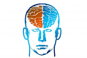 Afectaci i adaptaci al dany cerebral adquirit (ictus i altres patologies)