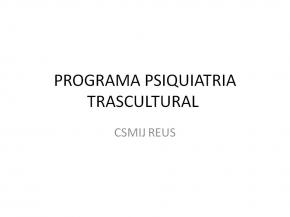 Institut Pere Mata. Programa de Psiquiatria Transcultural